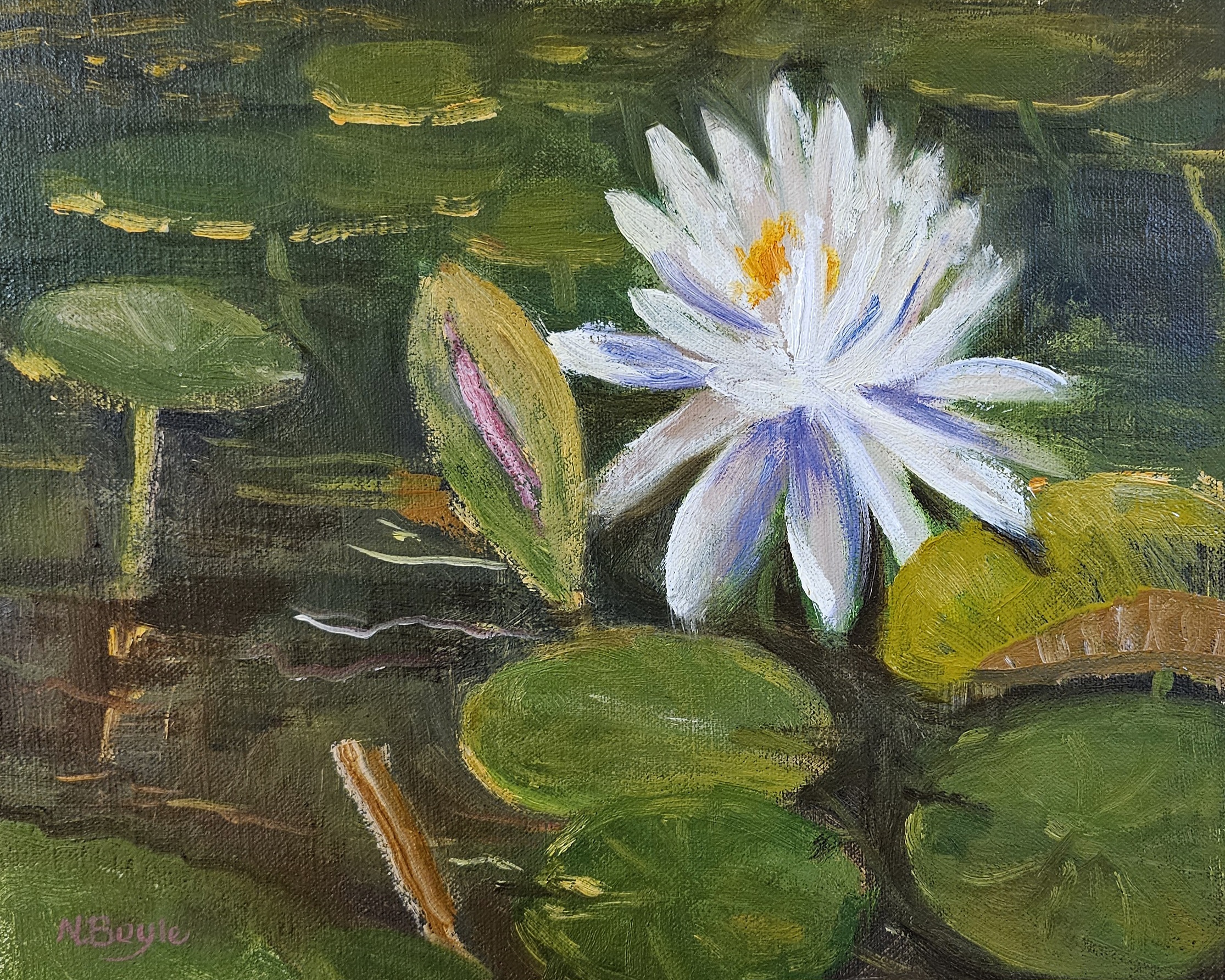 Lily pads, oil on linen